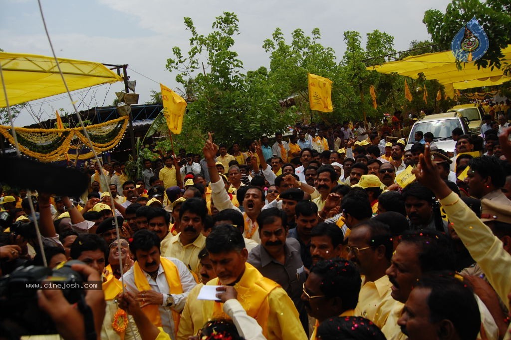 TDP Mahanadu 2013 Photos - 26 / 150 photos