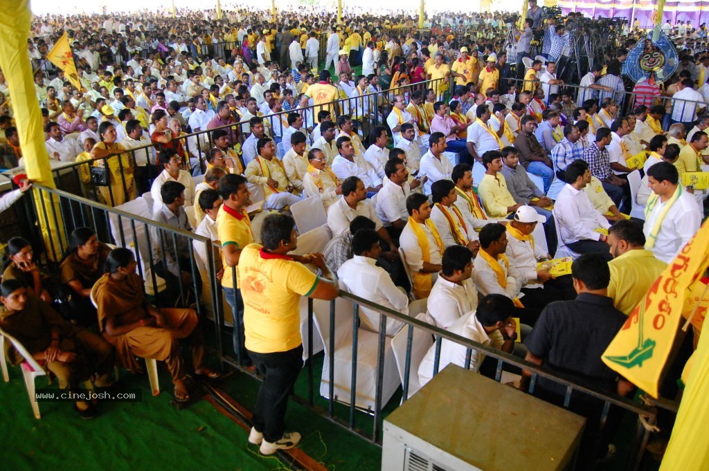 TDP Mahanadu 2013 Photos - 27 / 150 photos