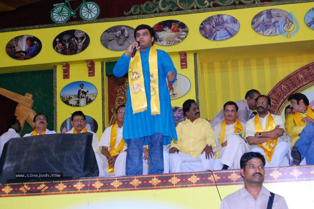 TDP Mahanadu 2013 Photos - 31 / 150 photos