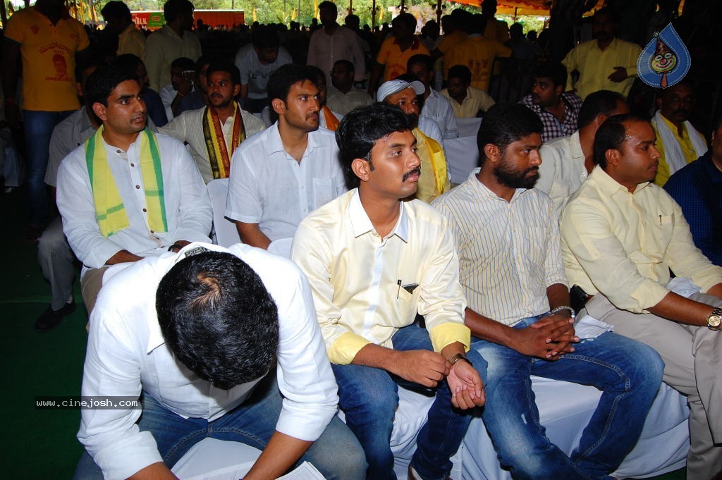 TDP Mahanadu 2013 Photos - 32 / 150 photos