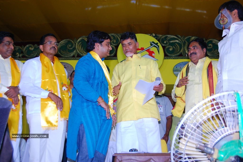 TDP Mahanadu 2013 Photos - 35 / 150 photos