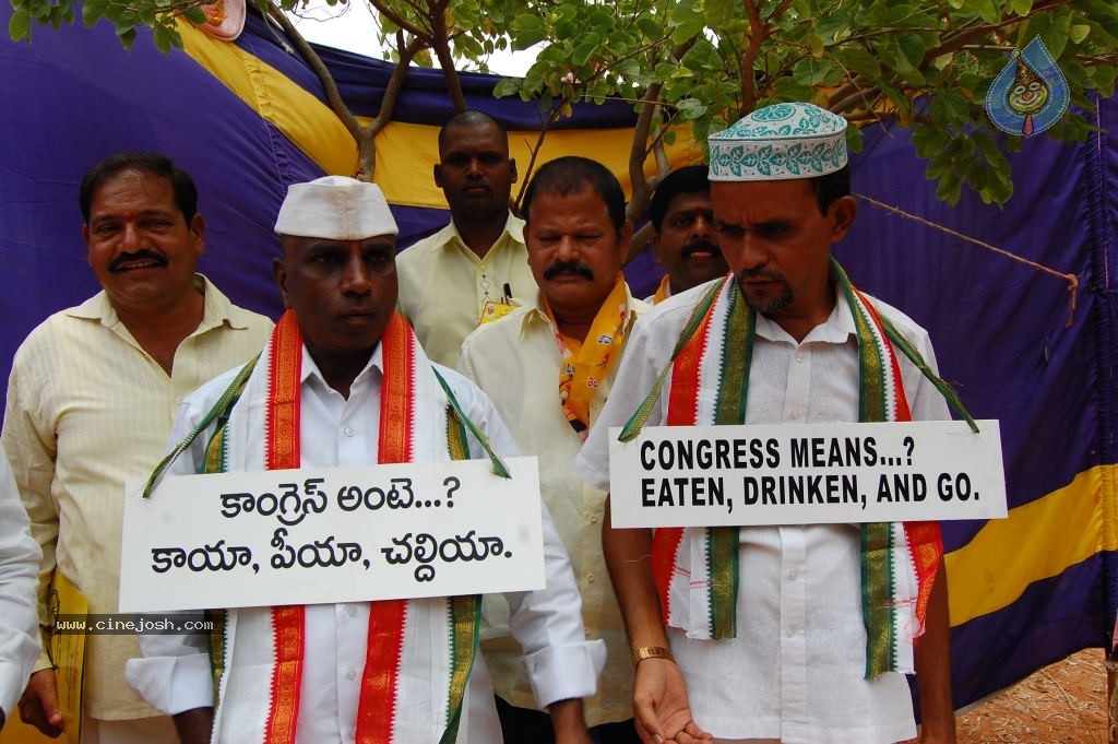 TDP Mahanadu 2013 Photos - 40 / 150 photos