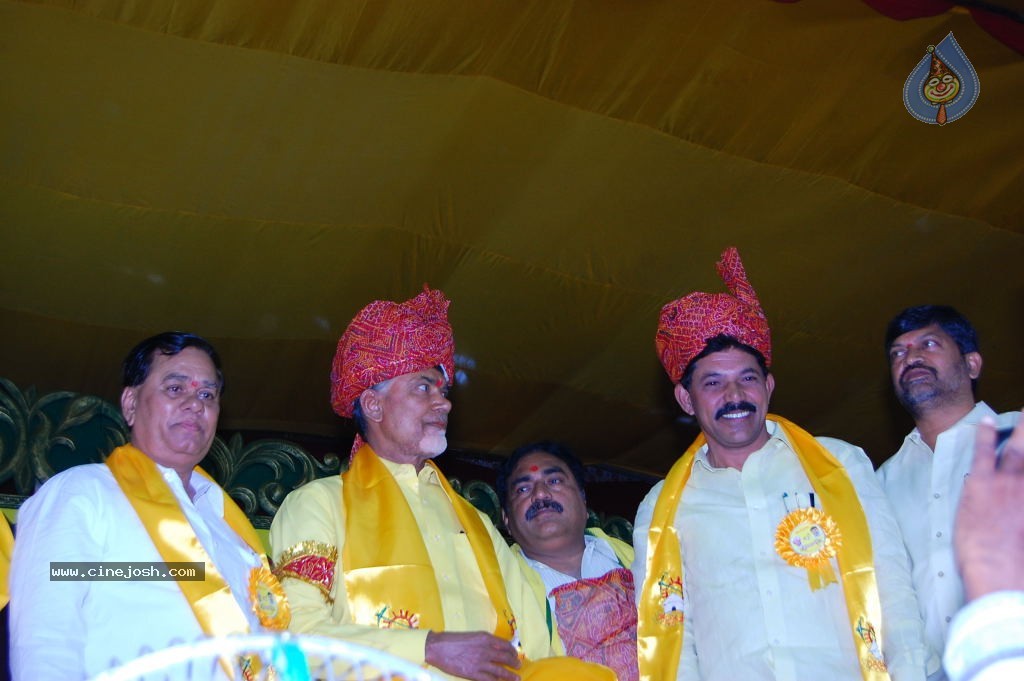 TDP Mahanadu 2013 Photos - 41 / 150 photos