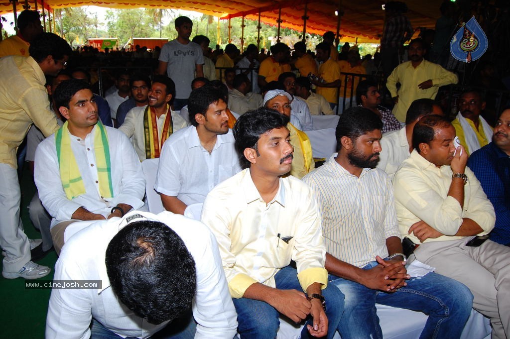 TDP Mahanadu 2013 Photos - 42 / 150 photos