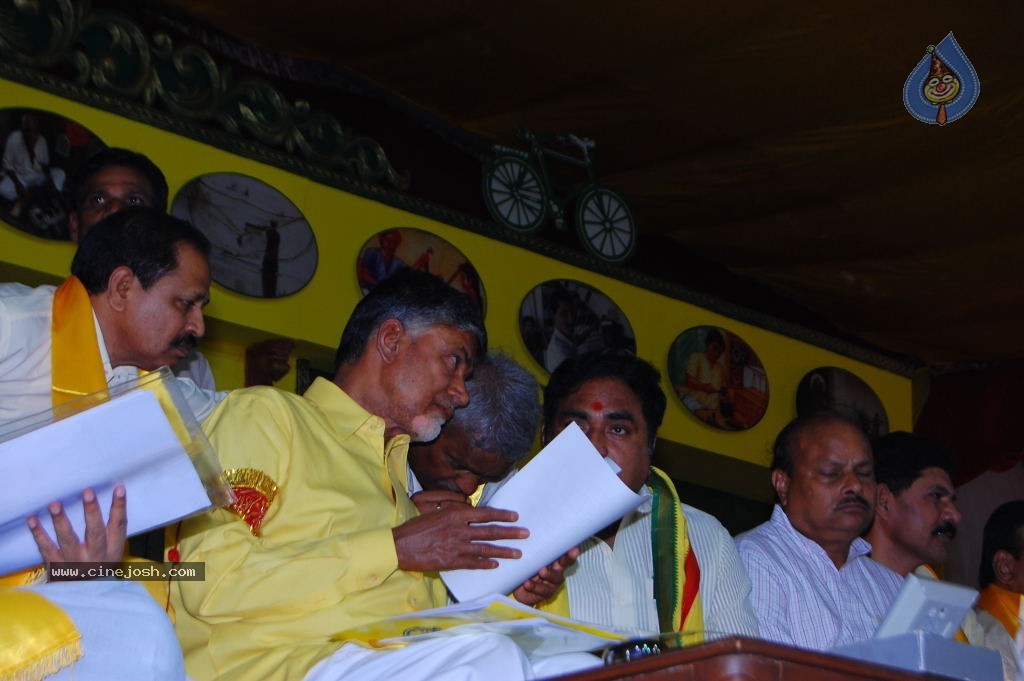 TDP Mahanadu 2013 Photos - 43 / 150 photos