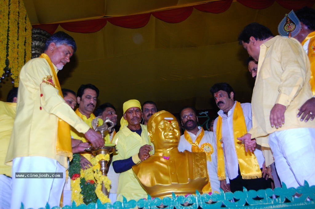 TDP Mahanadu 2013 Photos - 55 / 150 photos