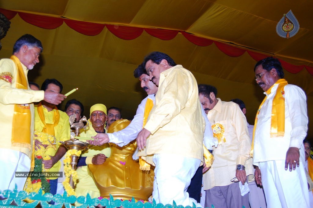 TDP Mahanadu 2013 Photos - 67 / 150 photos