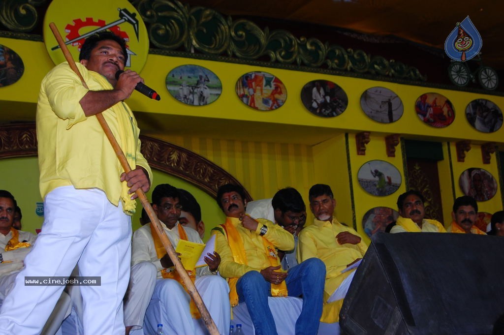 TDP Mahanadu 2013 Photos - 68 / 150 photos