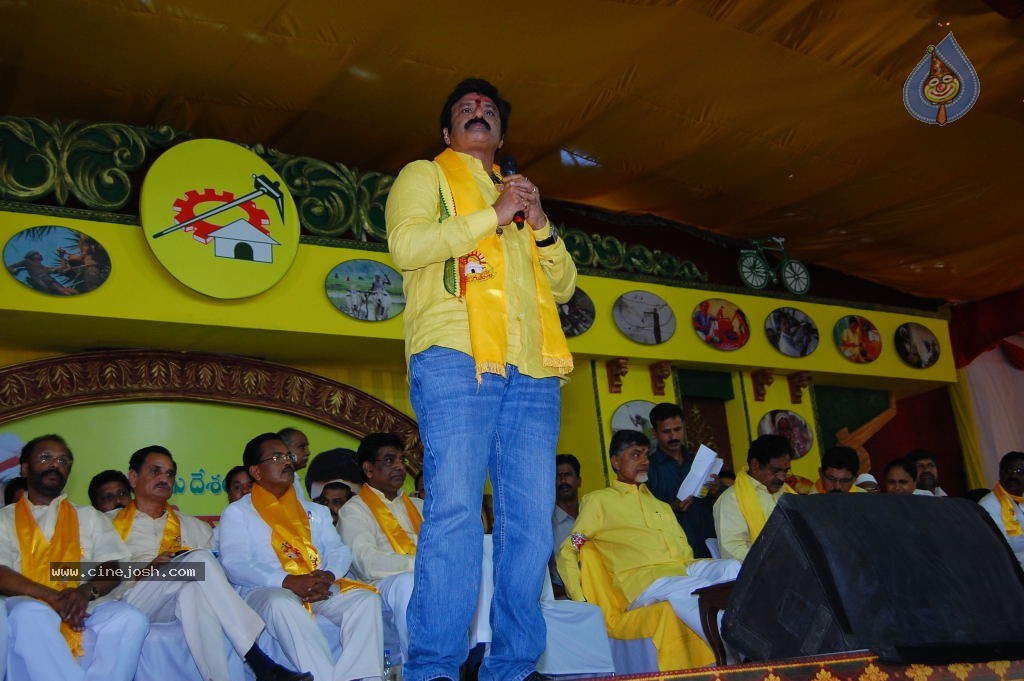 TDP Mahanadu 2013 Photos - 69 / 150 photos