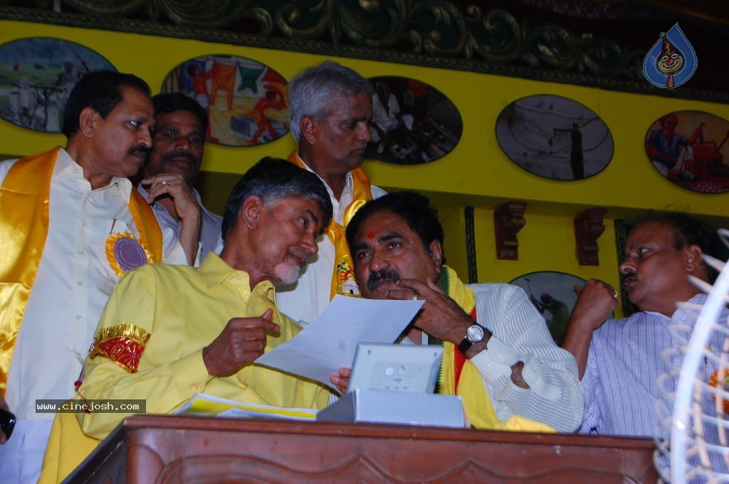 TDP Mahanadu 2013 Photos - 70 / 150 photos