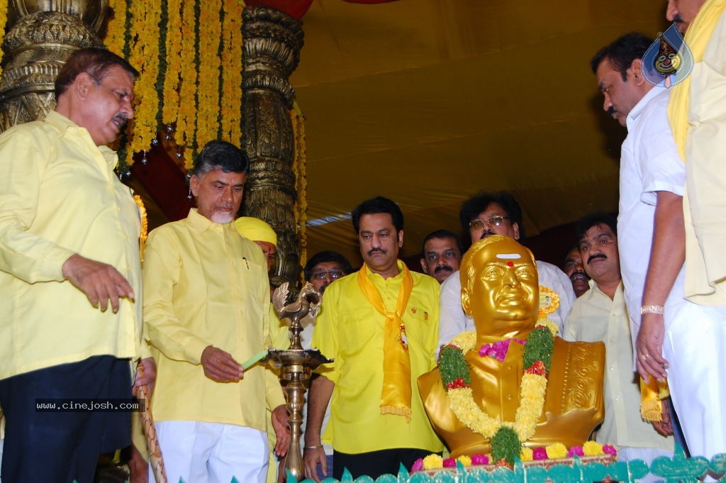 TDP Mahanadu 2013 Photos - 71 / 150 photos