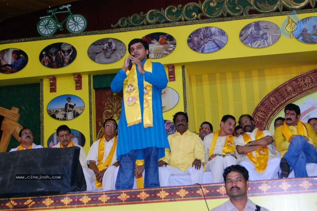 TDP Mahanadu 2013 Photos - 72 / 150 photos