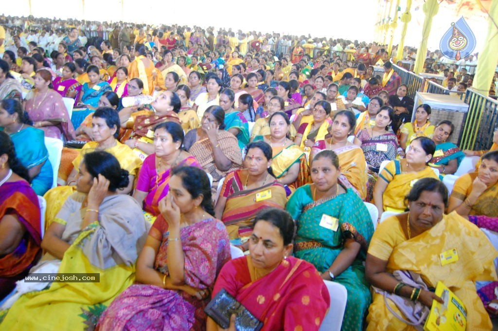 TDP Mahanadu 2013 Photos - 74 / 150 photos