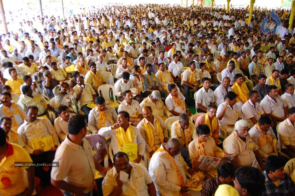 TDP Mahanadu 2013 Photos - 75 / 150 photos