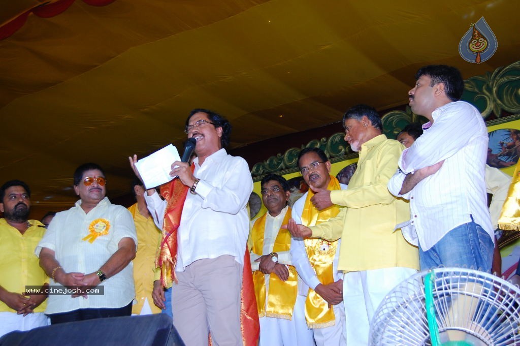 TDP Mahanadu 2013 Photos - 76 / 150 photos