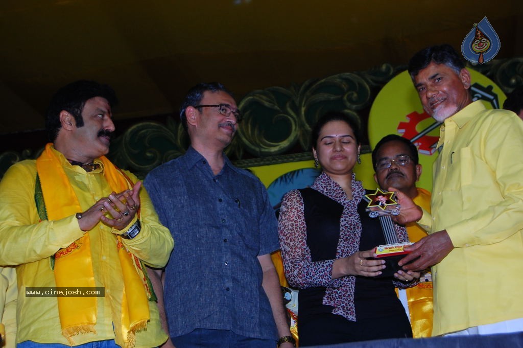 TDP Mahanadu 2013 Photos - 77 / 150 photos