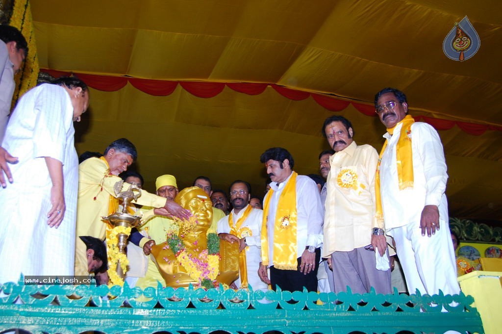 TDP Mahanadu 2013 Photos - 78 / 150 photos