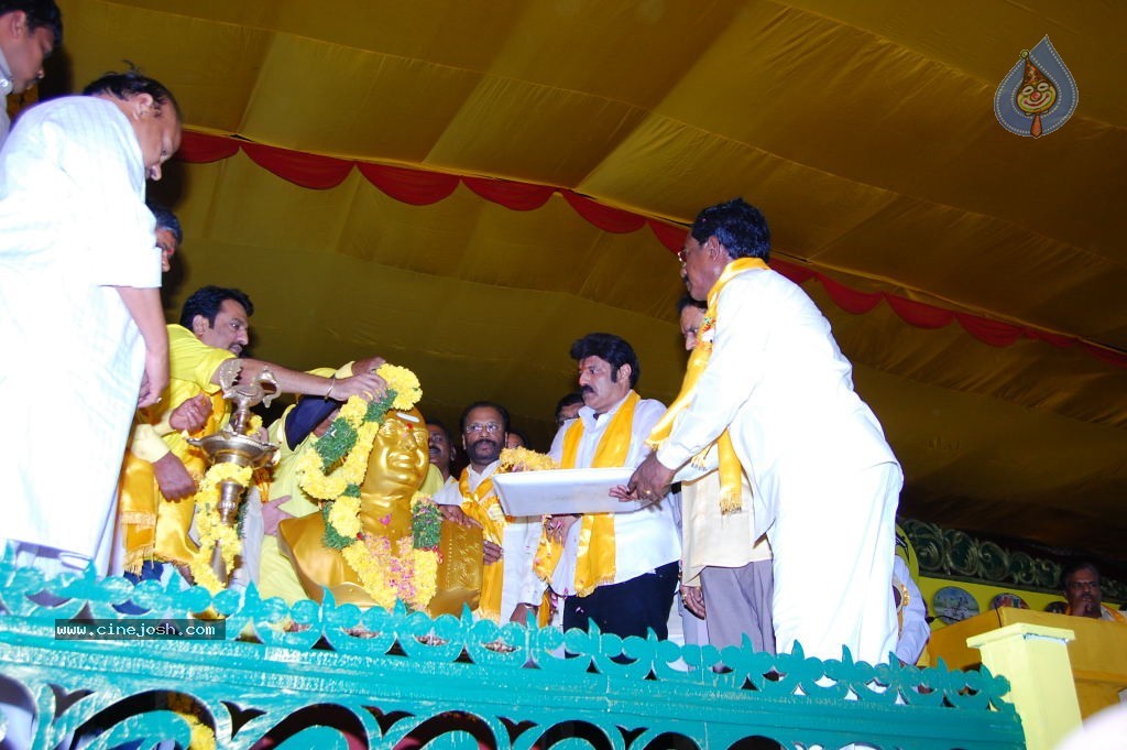 TDP Mahanadu 2013 Photos - 79 / 150 photos