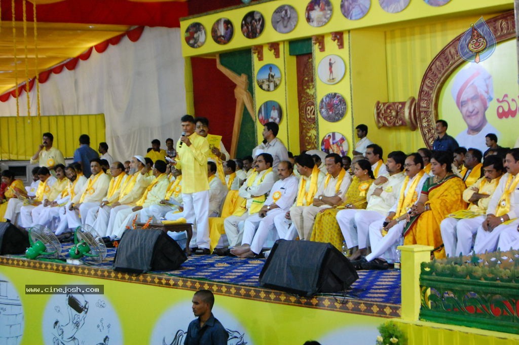 TDP Mahanadu 2013 Photos - 80 / 150 photos