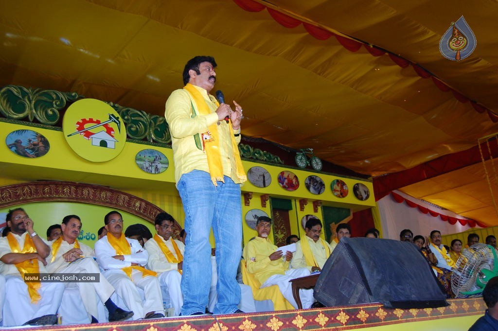 TDP Mahanadu 2013 Photos - 81 / 150 photos