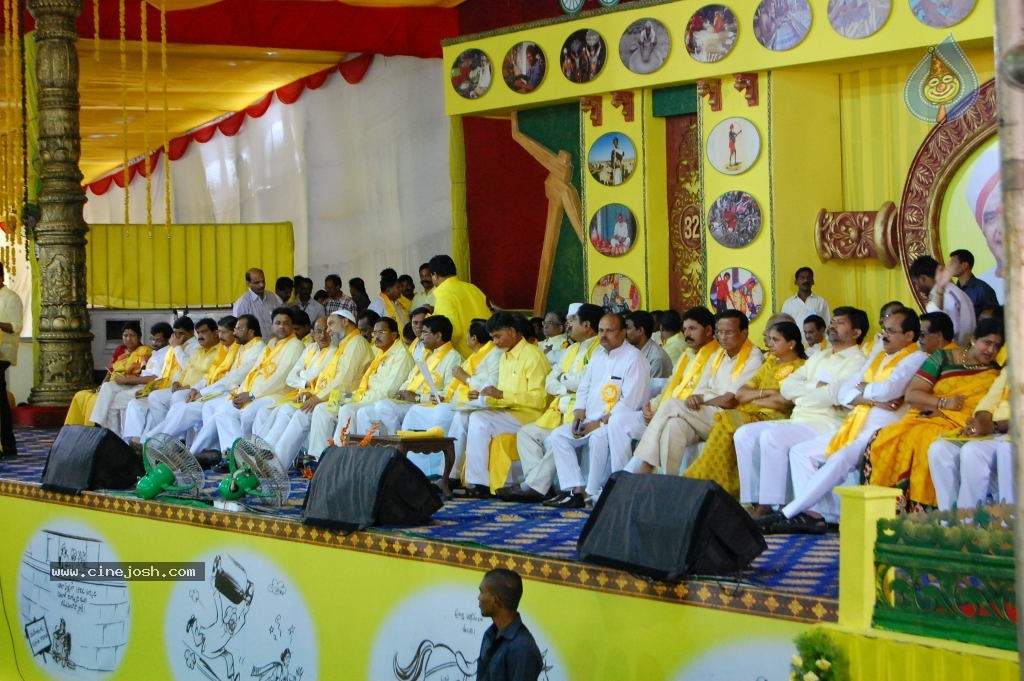 TDP Mahanadu 2013 Photos - 82 / 150 photos