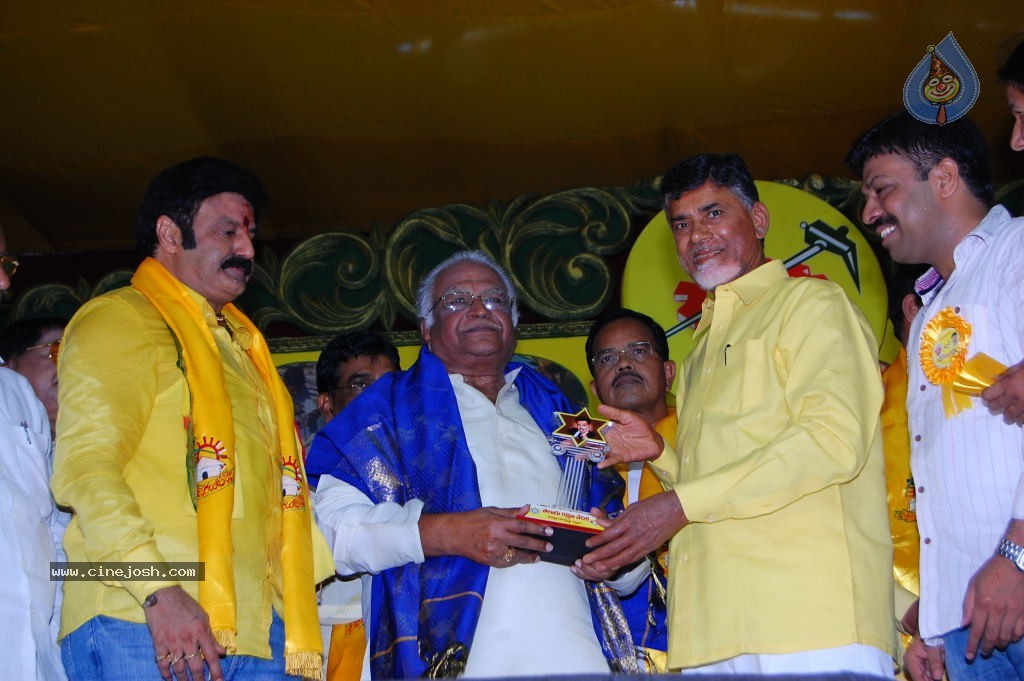 TDP Mahanadu 2013 Photos - 83 / 150 photos