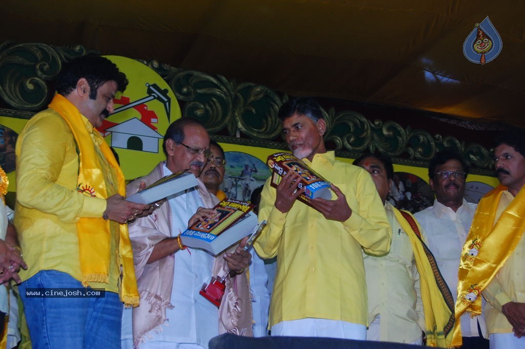 TDP Mahanadu 2013 Photos - 96 / 150 photos