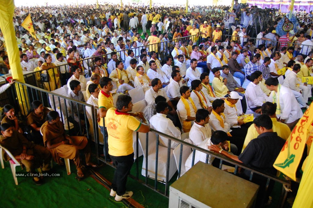 TDP Mahanadu 2013 Photos - 100 / 150 photos