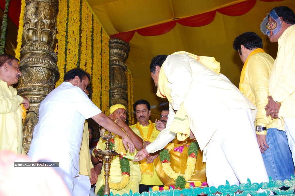 TDP Mahanadu 2013 Photos - 107 / 150 photos