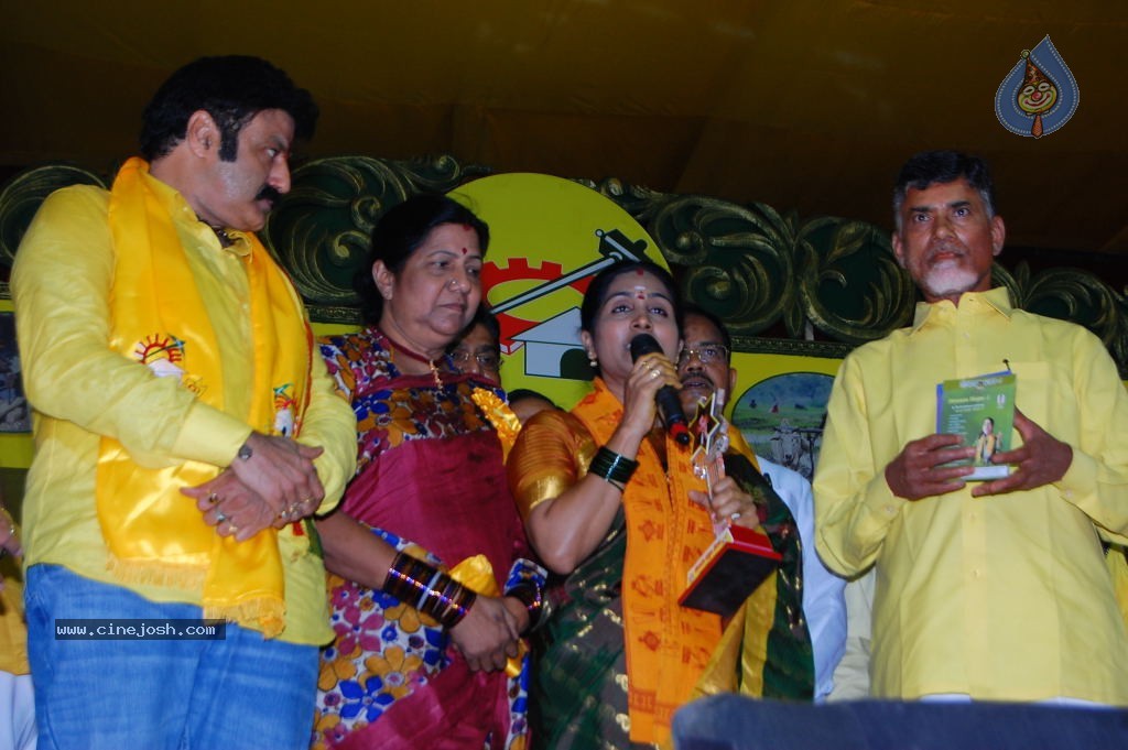 TDP Mahanadu 2013 Photos - 112 / 150 photos