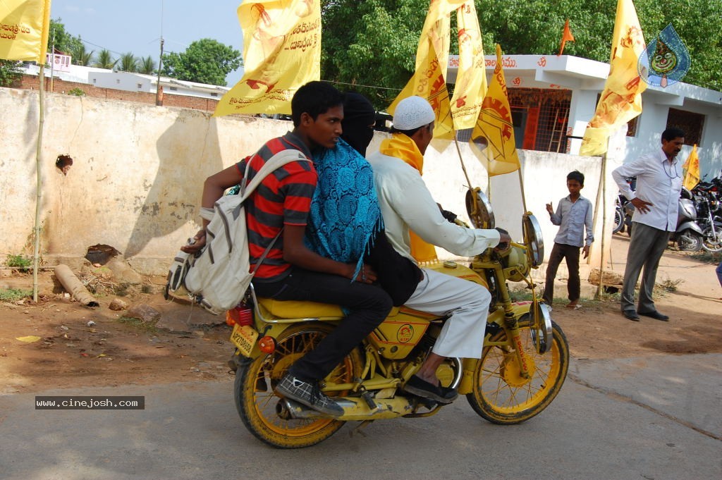 TDP Mahanadu 2013 Photos - 115 / 150 photos