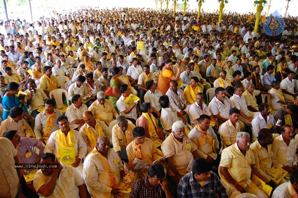 TDP Mahanadu 2013 Photos - 116 / 150 photos