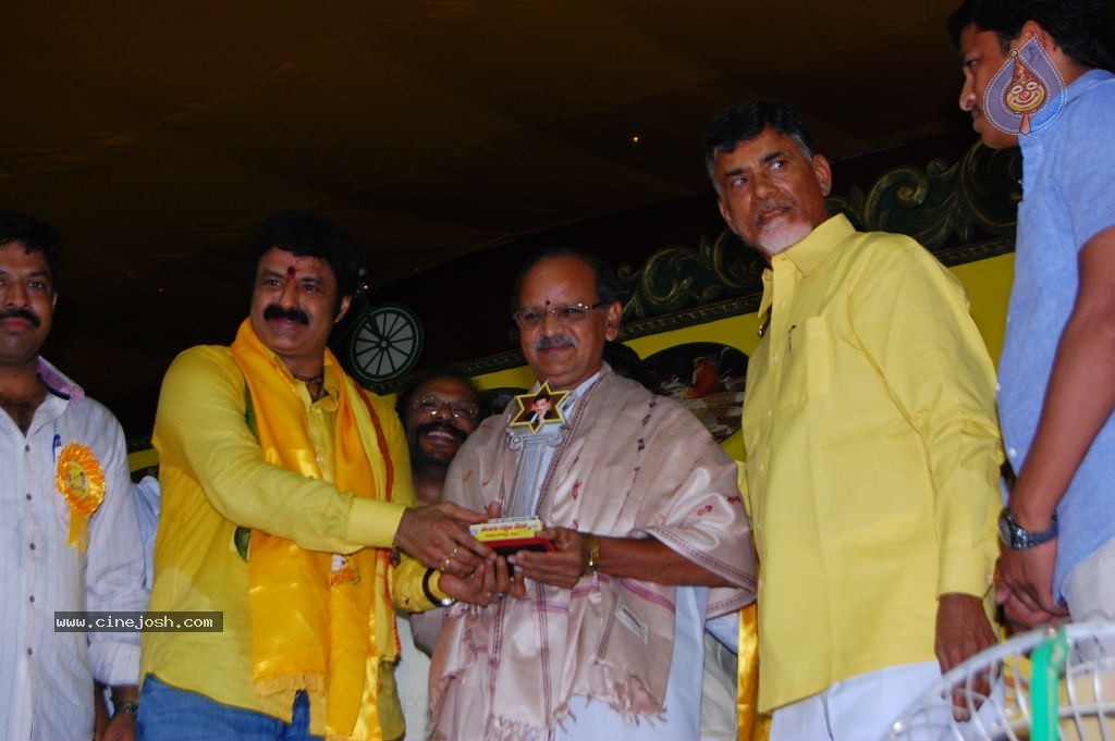 TDP Mahanadu 2013 Photos - 121 / 150 photos