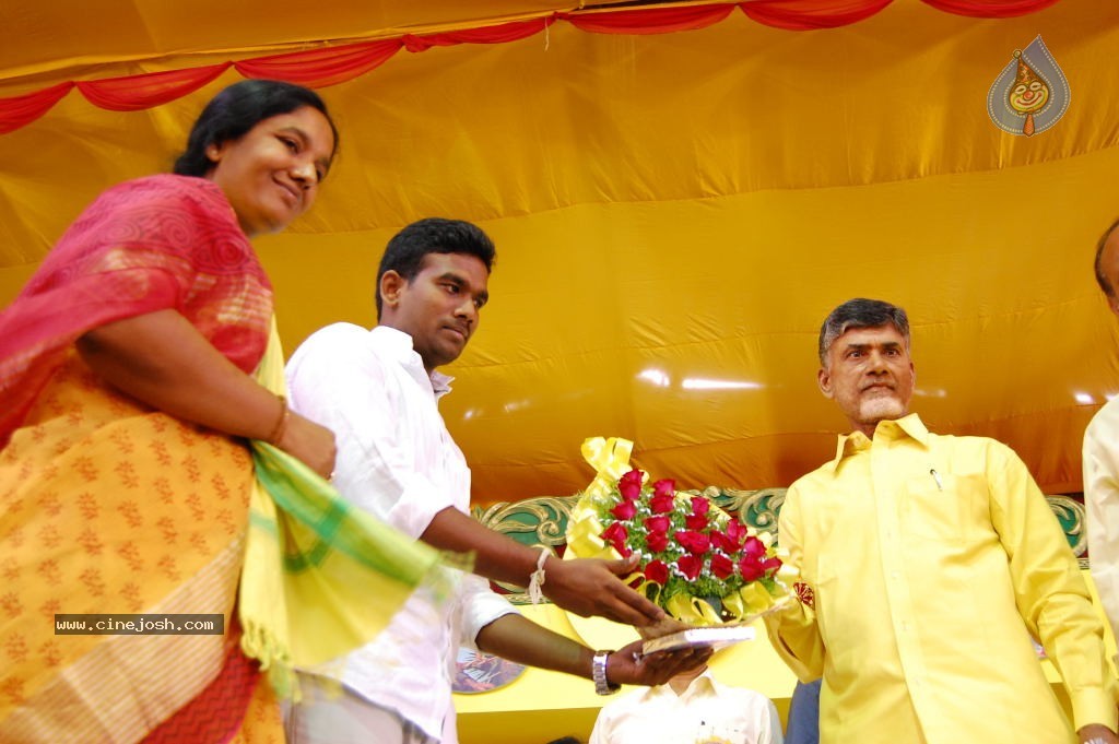 TDP Mahanadu 2013 Photos - 124 / 150 photos