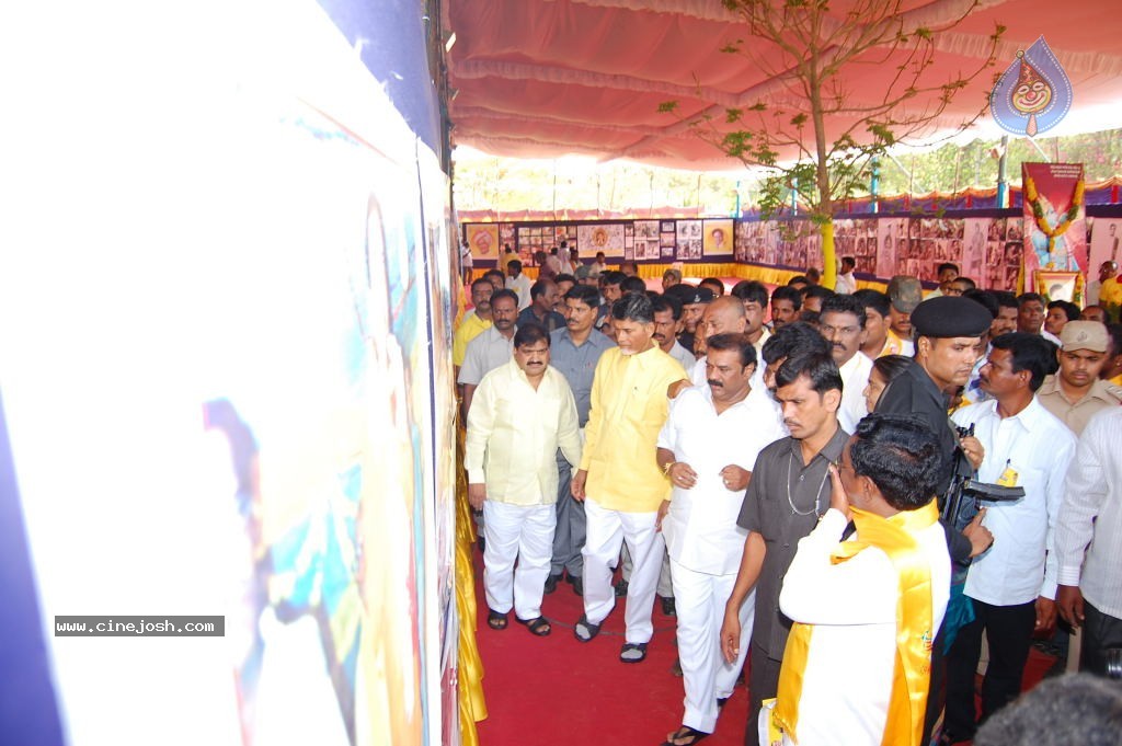 TDP Mahanadu 2013 Photos - 125 / 150 photos