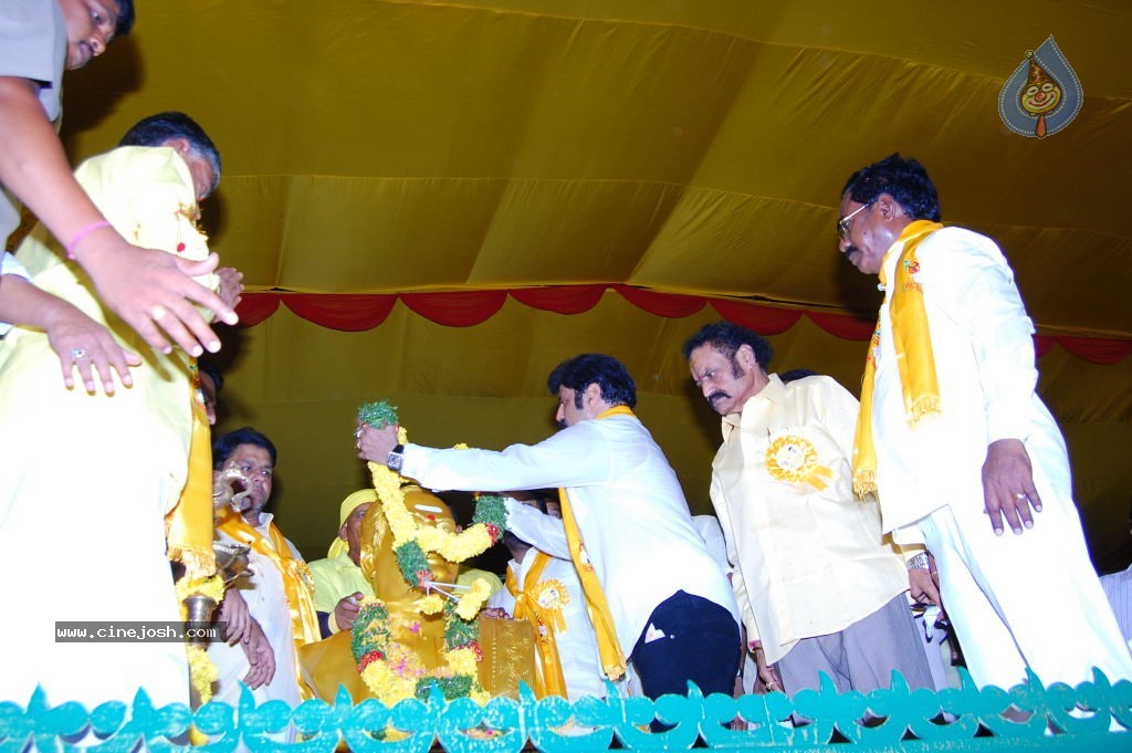 TDP Mahanadu 2013 Photos - 131 / 150 photos