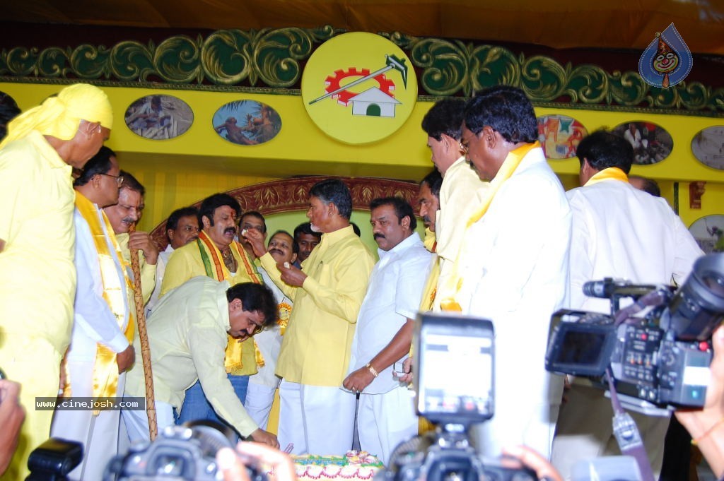 TDP Mahanadu 2013 Photos - 137 / 150 photos