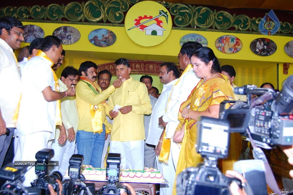 TDP Mahanadu 2013 Photos - 141 / 150 photos