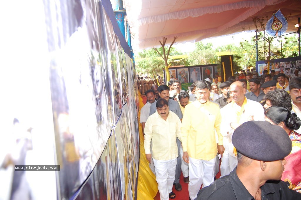 TDP Mahanadu 2013 Photos - 143 / 150 photos