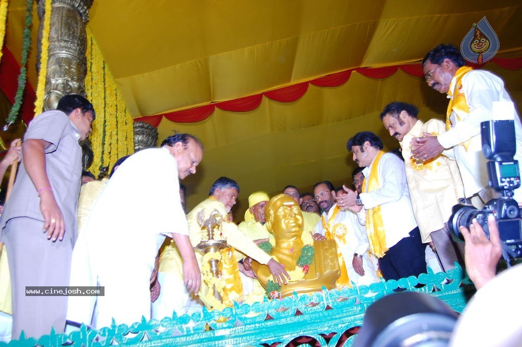 TDP Mahanadu 2013 Photos - 146 / 150 photos