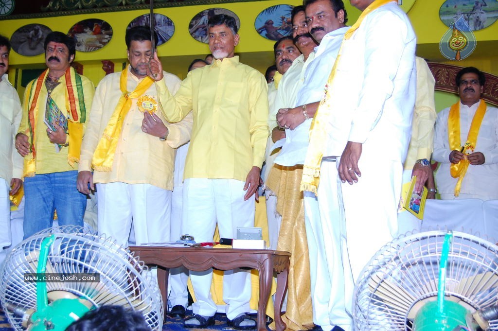 TDP Mahanadu 2013 Photos - 148 / 150 photos