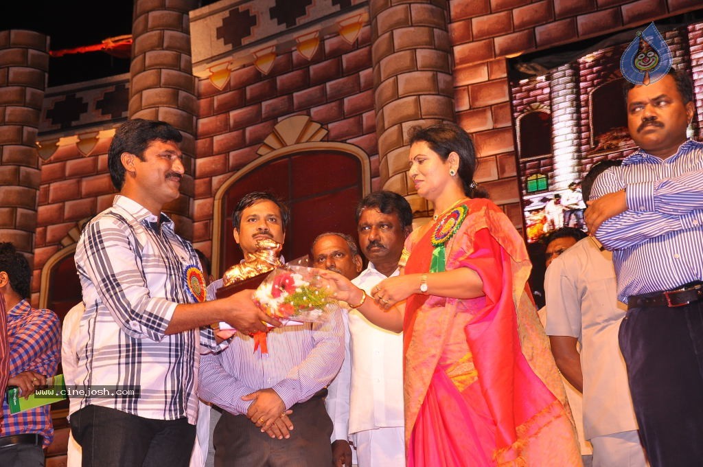 TV Nandi Awards 2011 - 57 / 326 photos