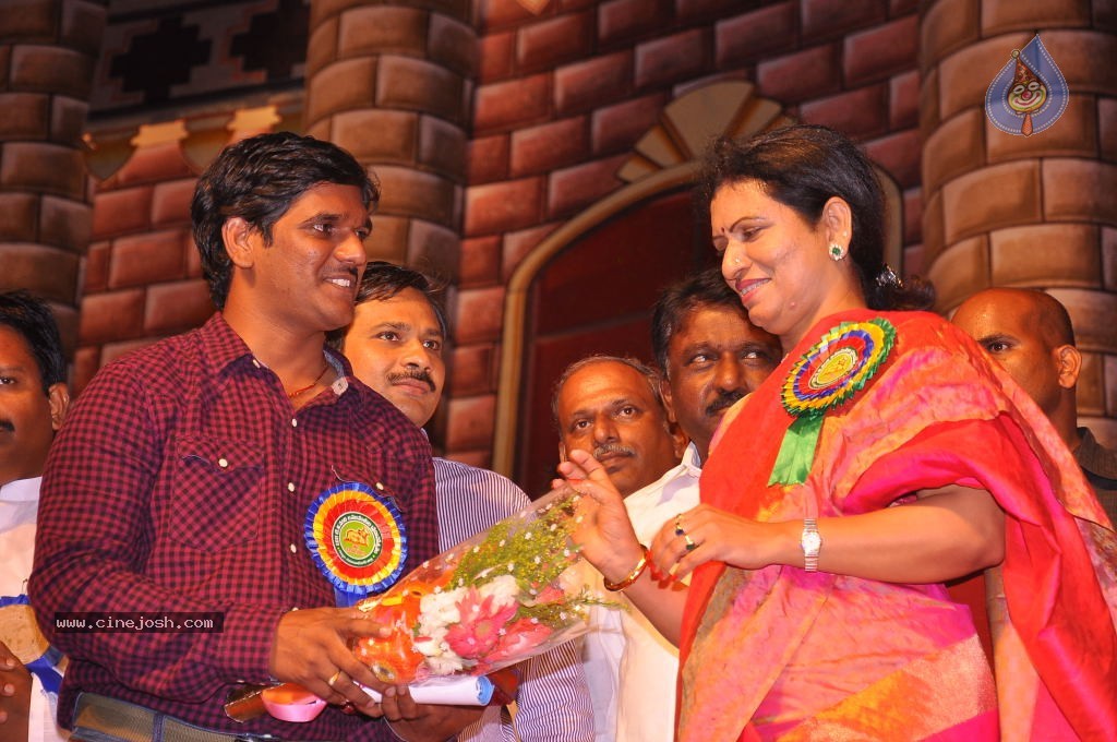 TV Nandi Awards 2011 - 100 / 326 photos