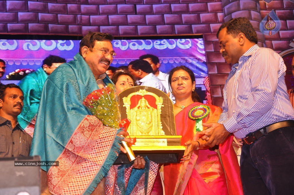 TV Nandi Awards 2011 - 178 / 326 photos