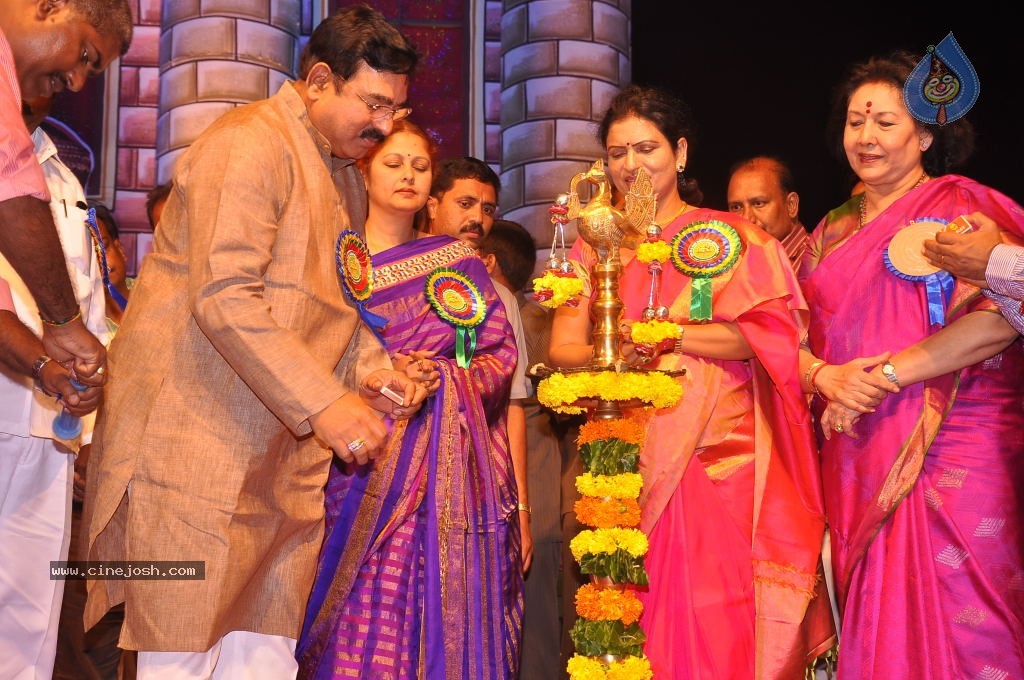 TV Nandi Awards 2011 - 185 / 326 photos