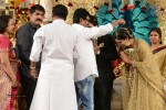 Celebs at Rajendra Prasad Son Wedding Reception 03 - 58 of 60