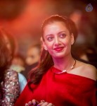 Celebs at SIIMA 2014 - 267 of 431