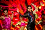 Celebs at SIIMA 2014 - 300 of 431