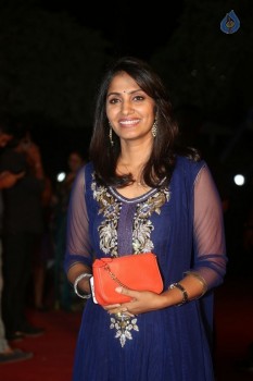 Gemini TV Puraskaralu 2016 Red Carpet 1 - 45 of 84