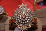Nizam Jewellery Collection at Taj Deccan - 7 of 18